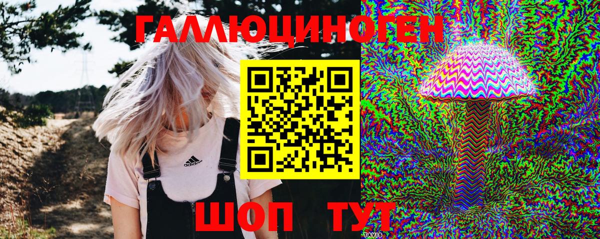 Галлюциногенные грибы Psilocybe  Галлюциногенные грибы MAGIC MUSHROOMS  Вход с VPN  Кропоткин 
